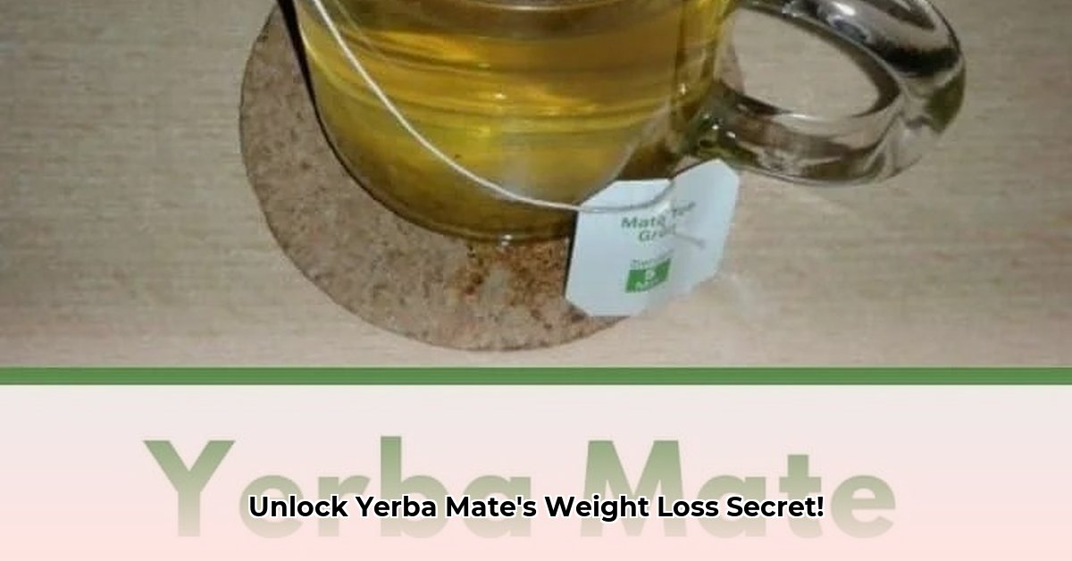 best-yerba-mate-tea-for-weight-loss